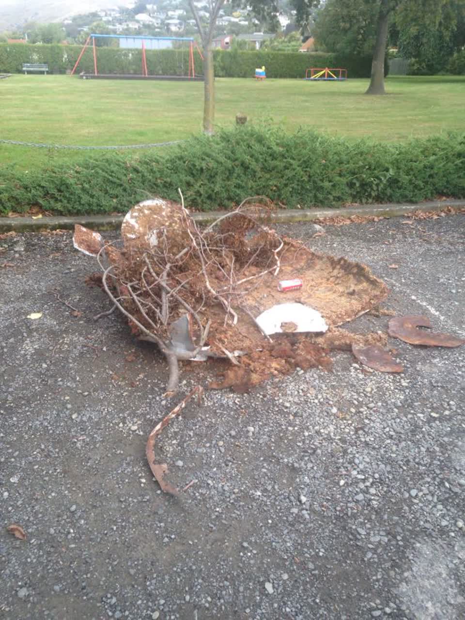 The photograph attached to this parks report
