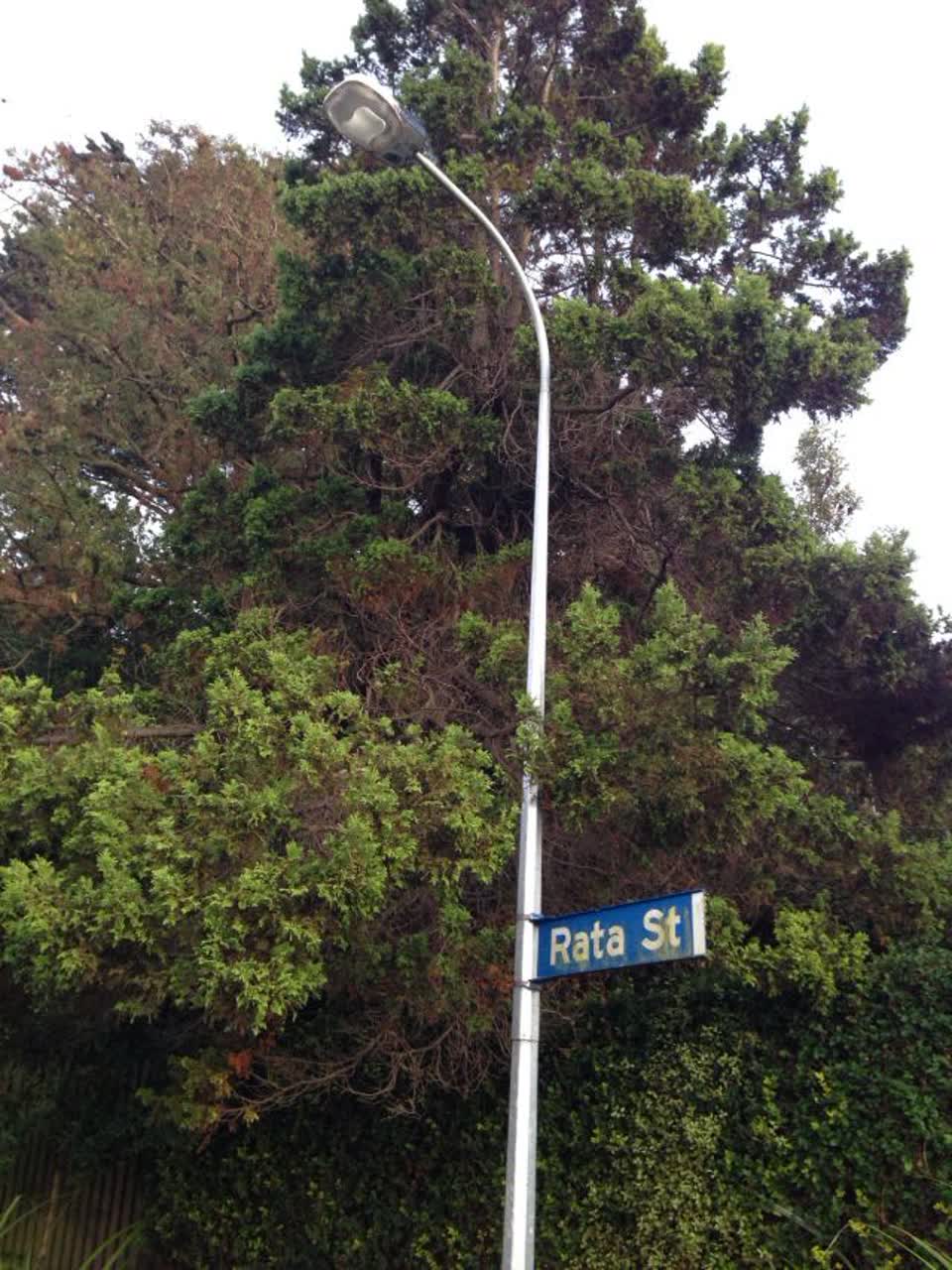 The photograph attached to this roading/streets report