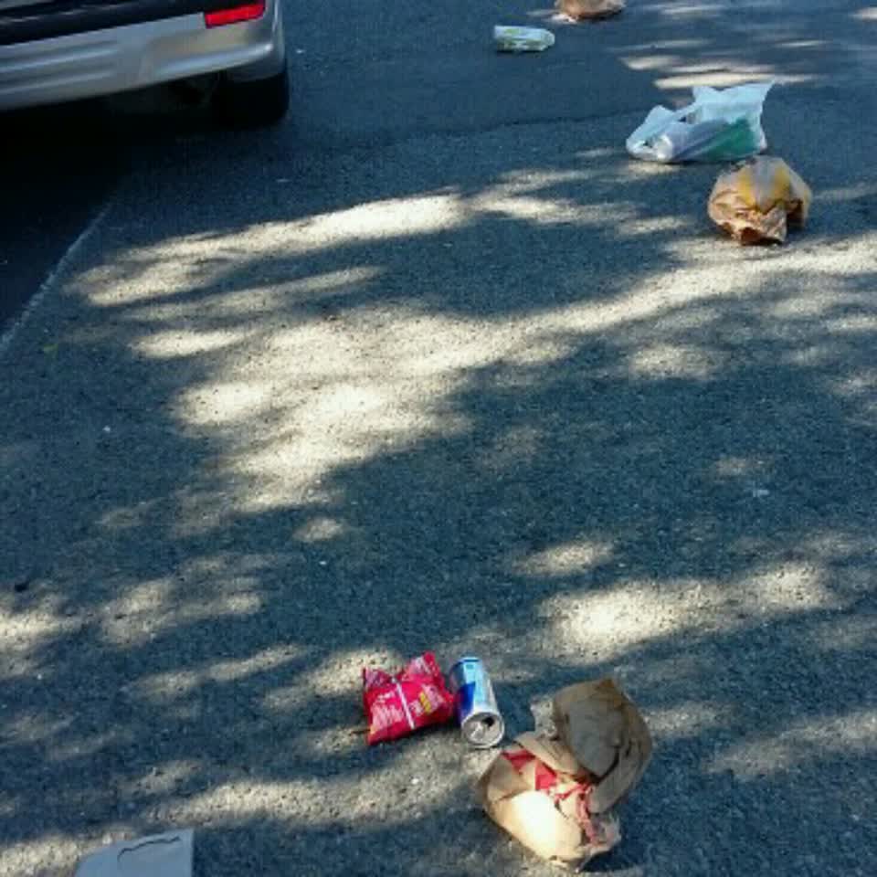 The photograph attached to this rubbish/recycling report