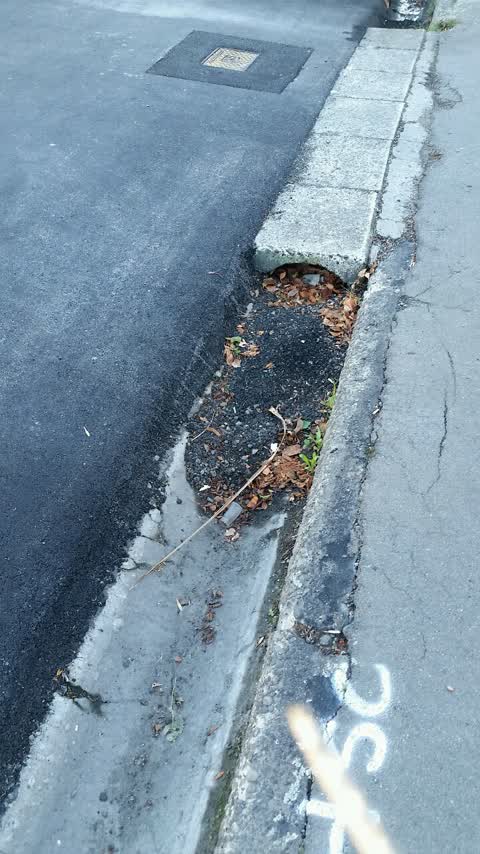 Roading/Streets, a report photo