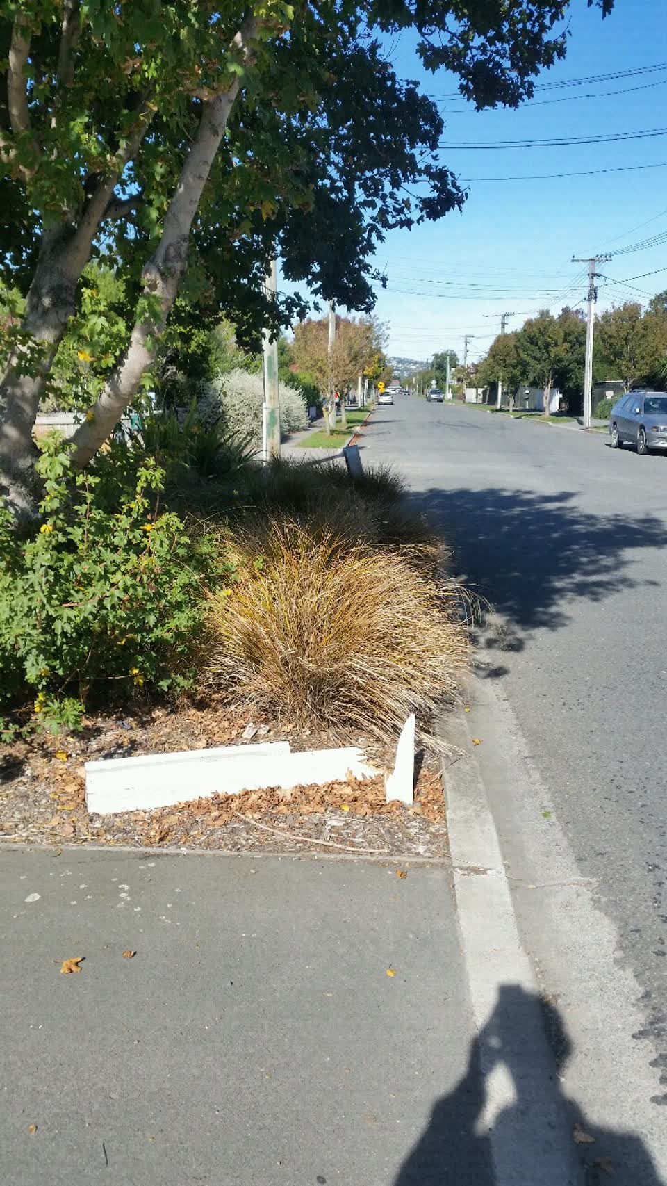The photograph attached to this roading/streets report