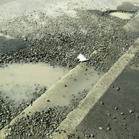 Roading/Streets, a report photo