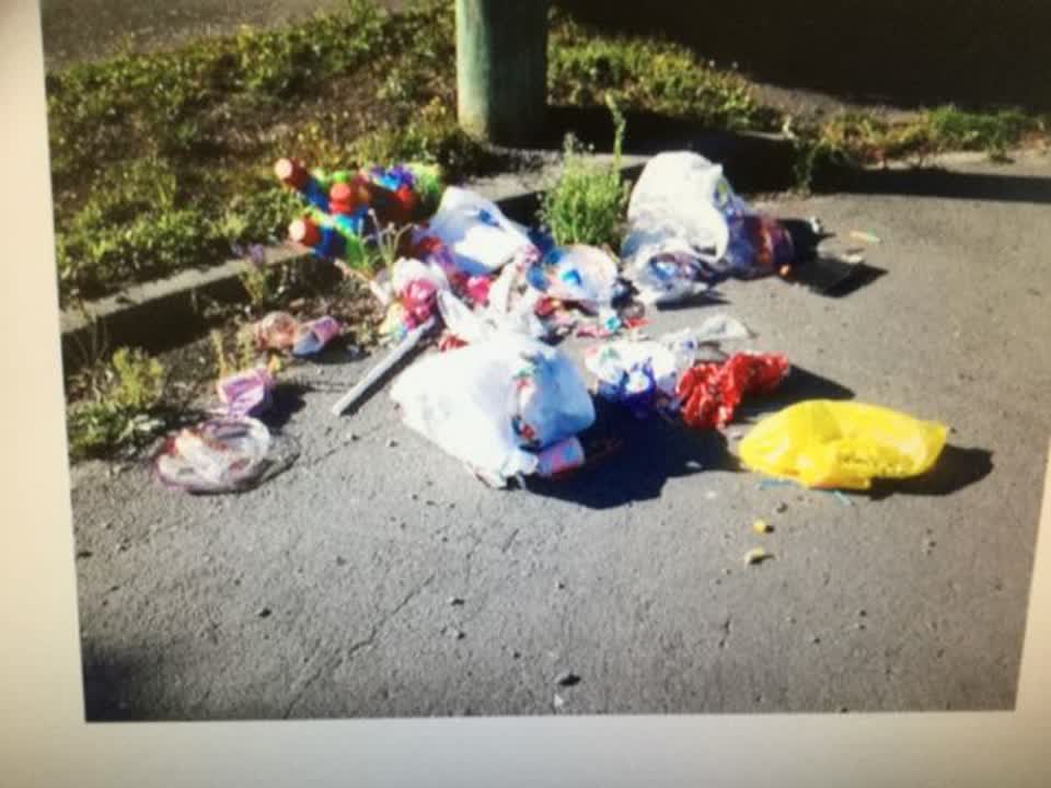 The photograph attached to this rubbish/recycling report