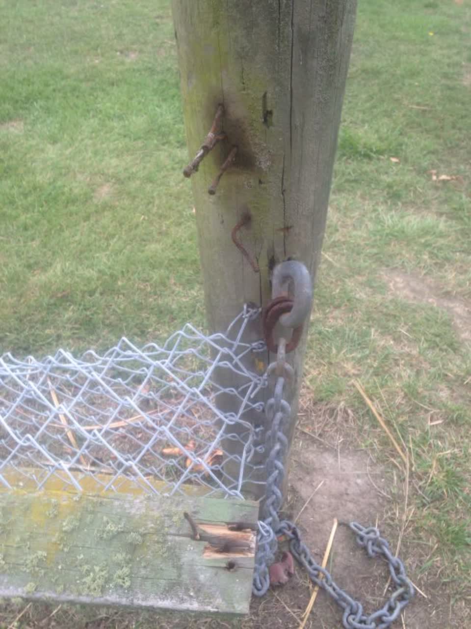 The photograph attached to this parks report