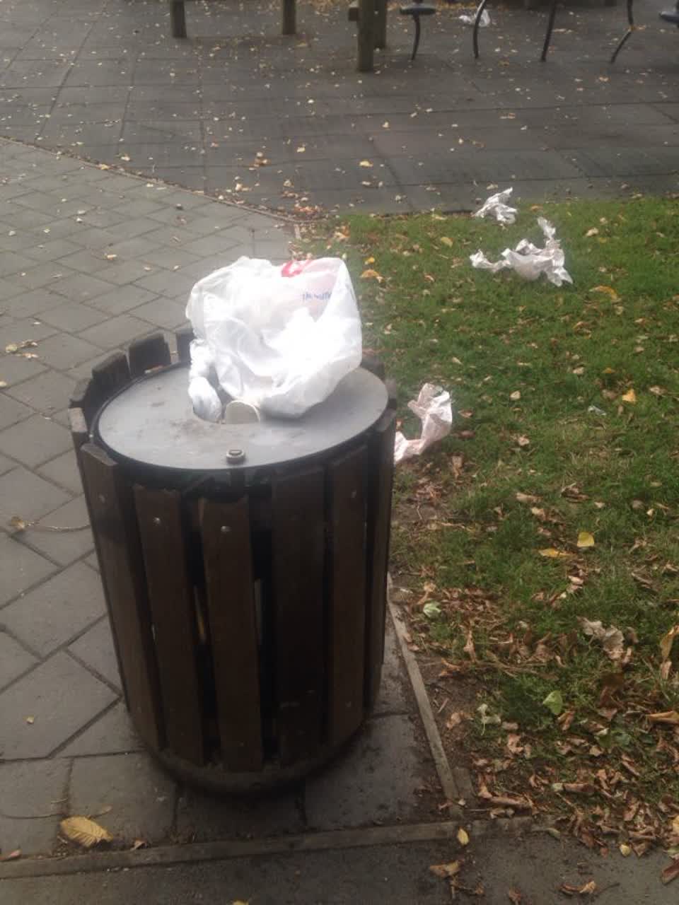 The photograph attached to this parks report