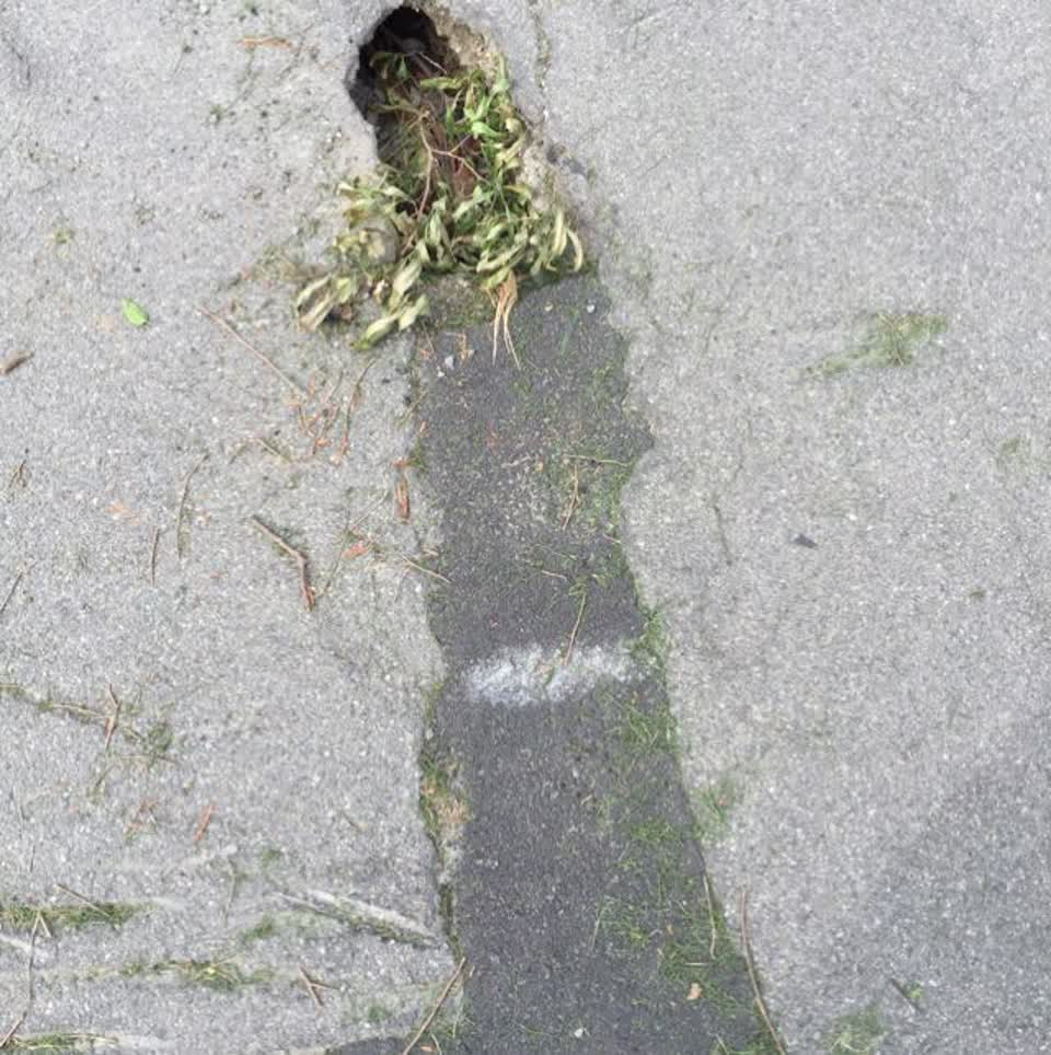 The photograph attached to this roading/streets report