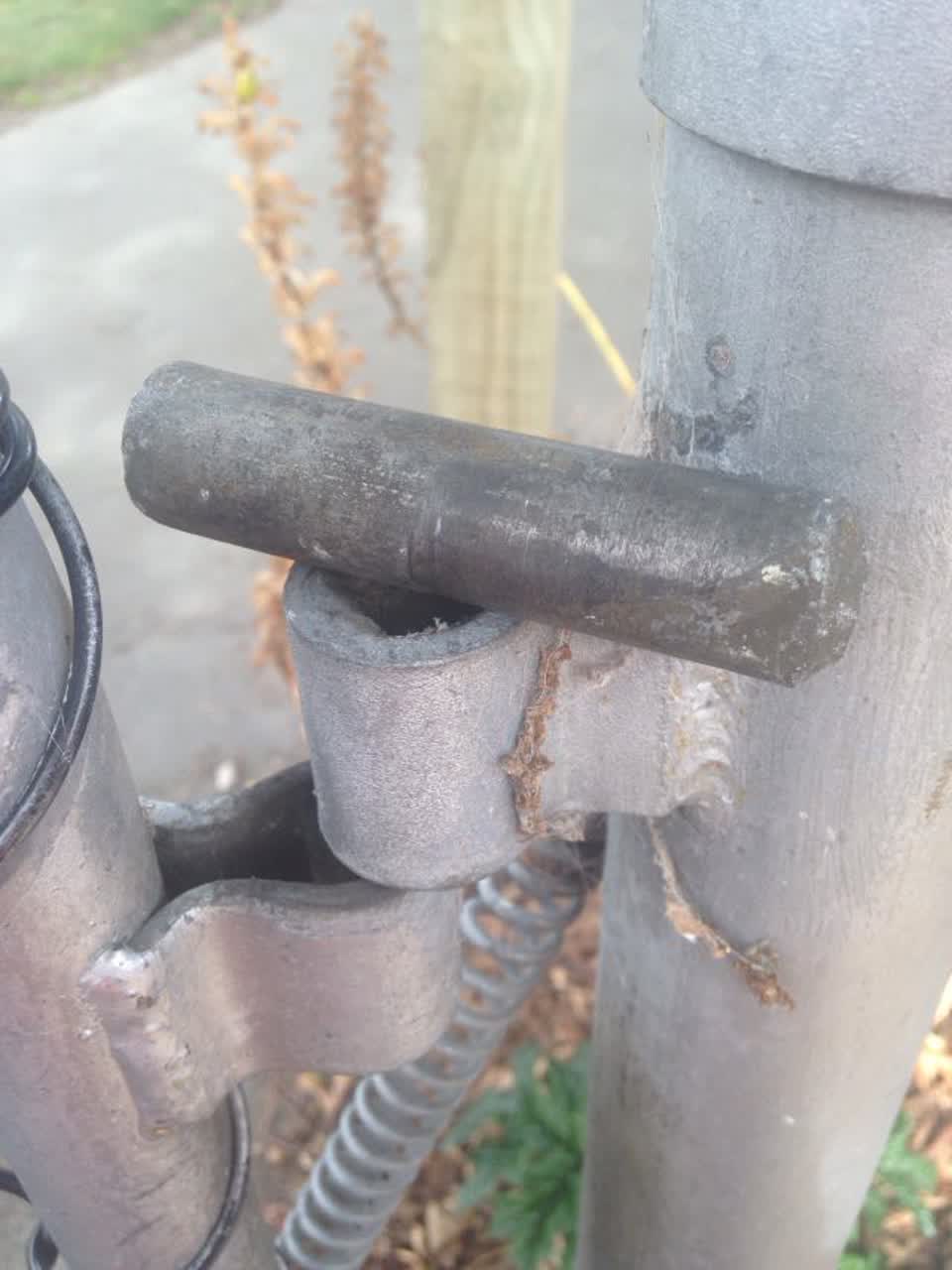The photograph attached to this parks report