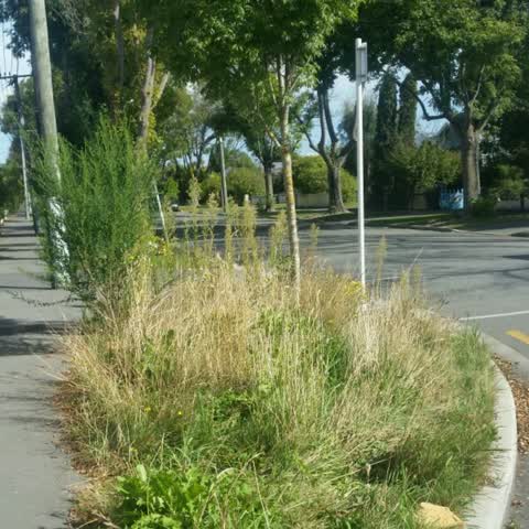 Roading/Streets, a report photo