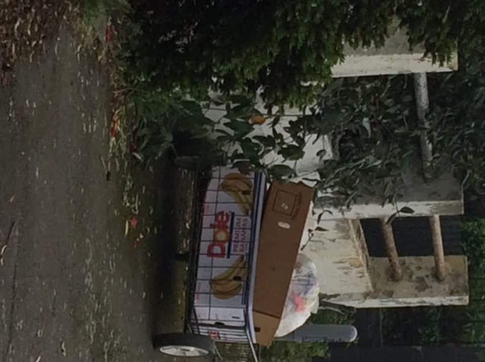 The photograph attached to this rubbish/recycling report