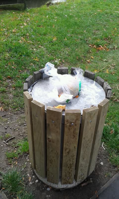 Rubbish/Recycling, a report photo