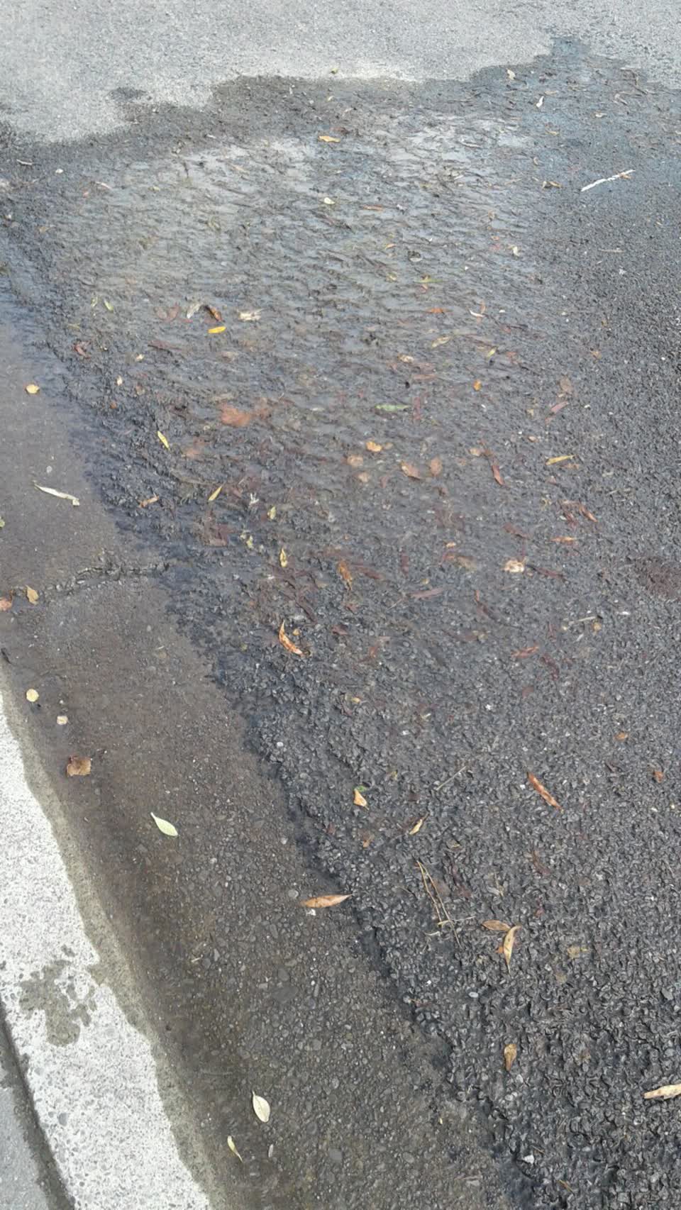 The photograph attached to this water supply report