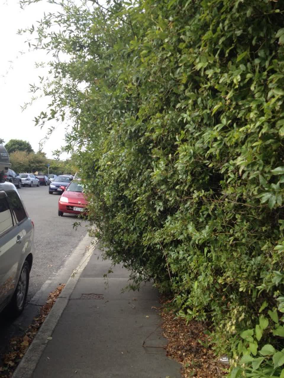 The photograph attached to this roading/streets report