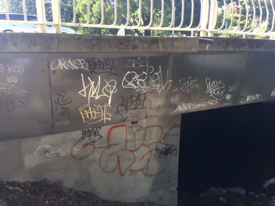 The photograph attached to this graffiti report