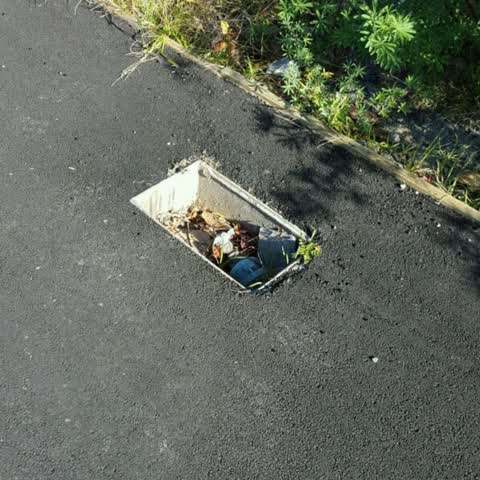 Roading/Streets, a report photo