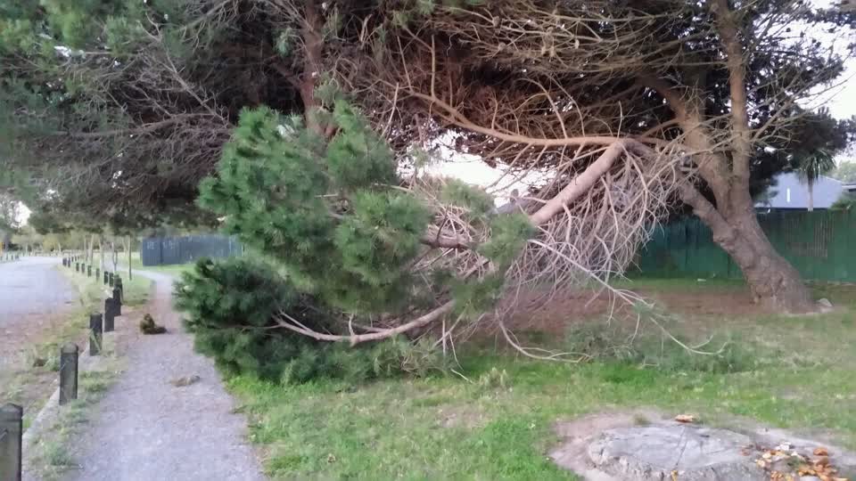 The photograph attached to this parks report