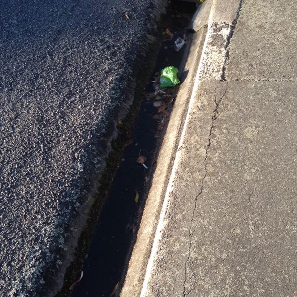 The photograph attached to this wastewater/stormwater report