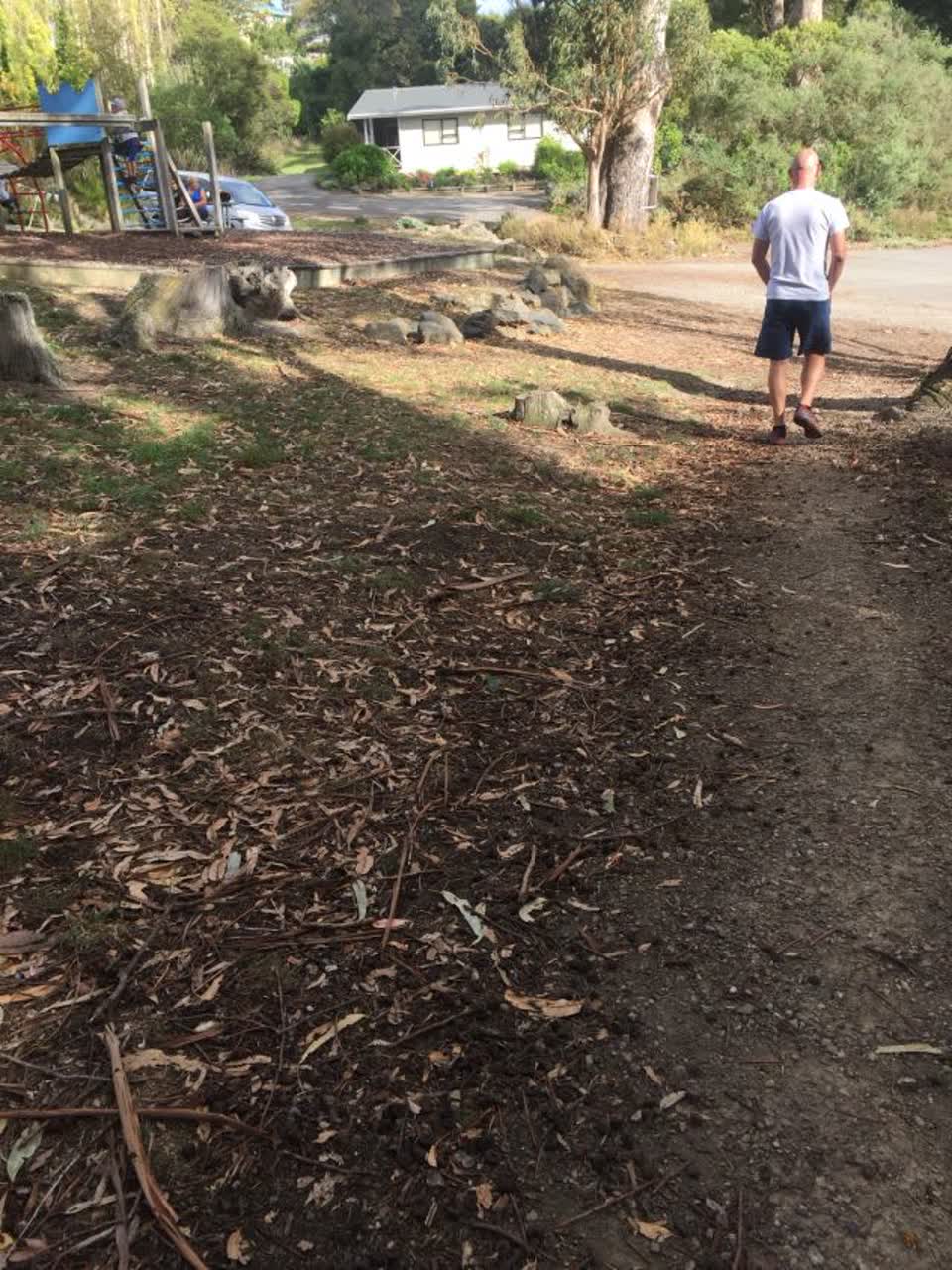 The photograph attached to this parks report