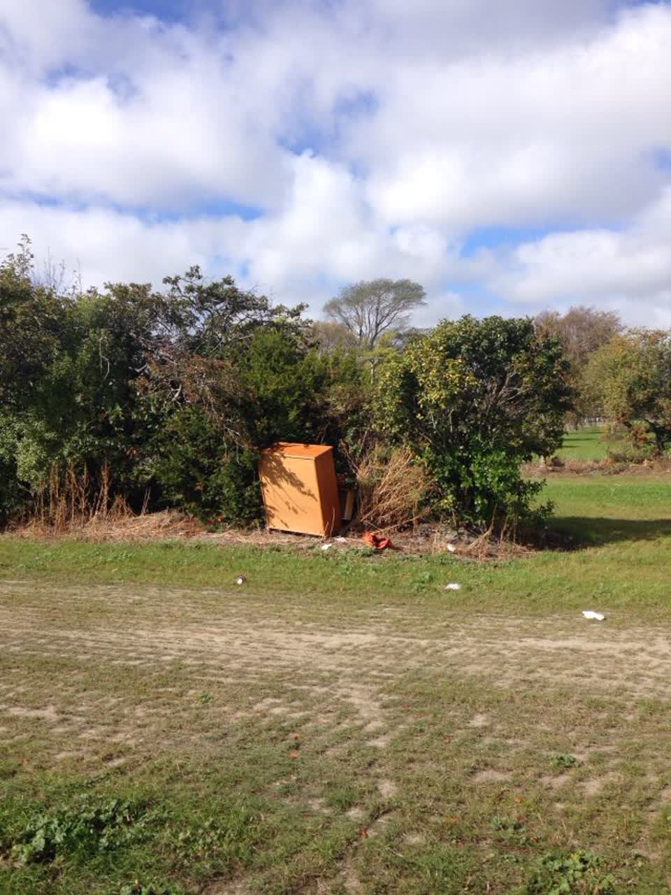 The photograph attached to this parks report