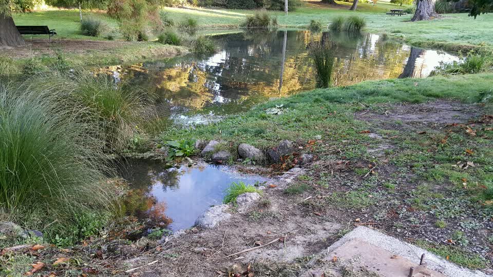 The photograph attached to this parks report