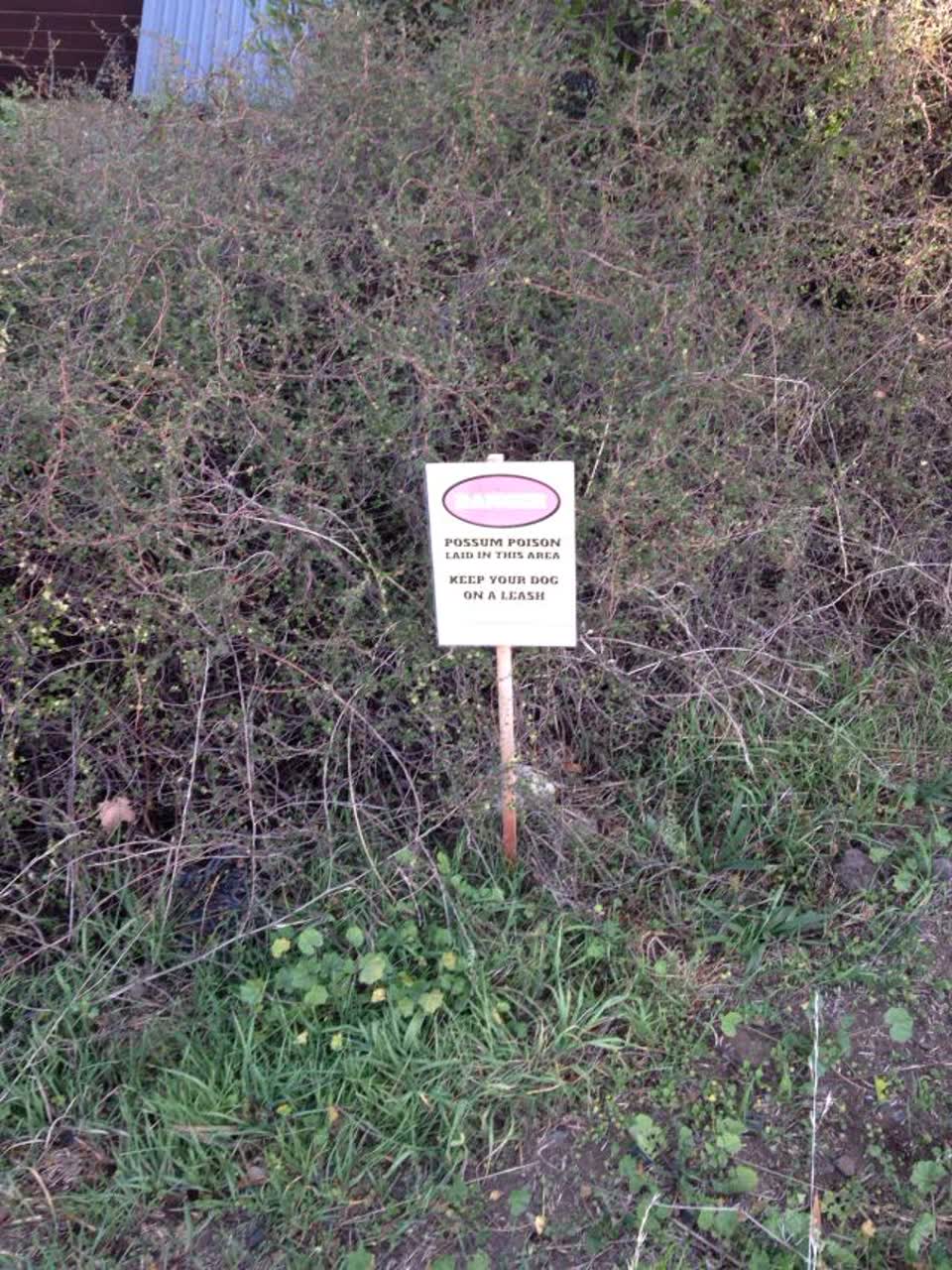 The photograph attached to this parks report