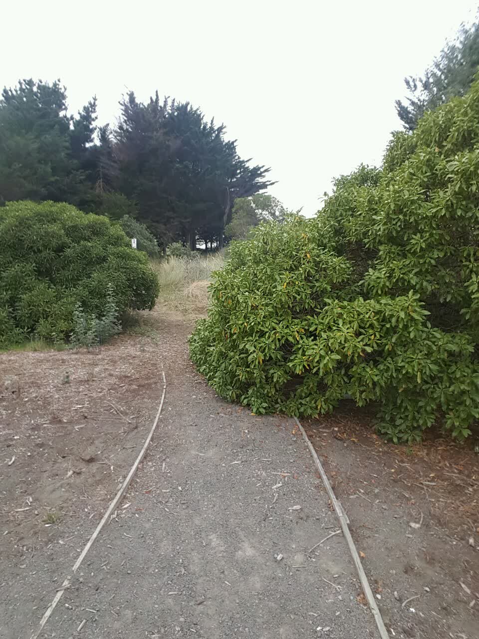 The photograph attached to this parks report