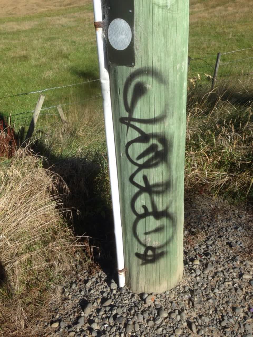 The photograph attached to this graffiti report