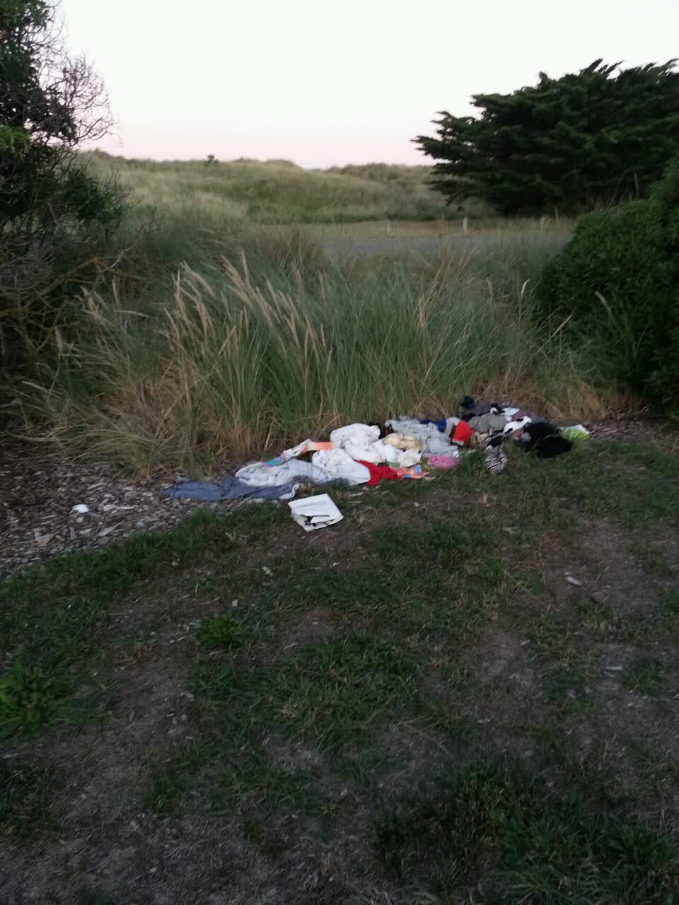 The photograph attached to this parks report