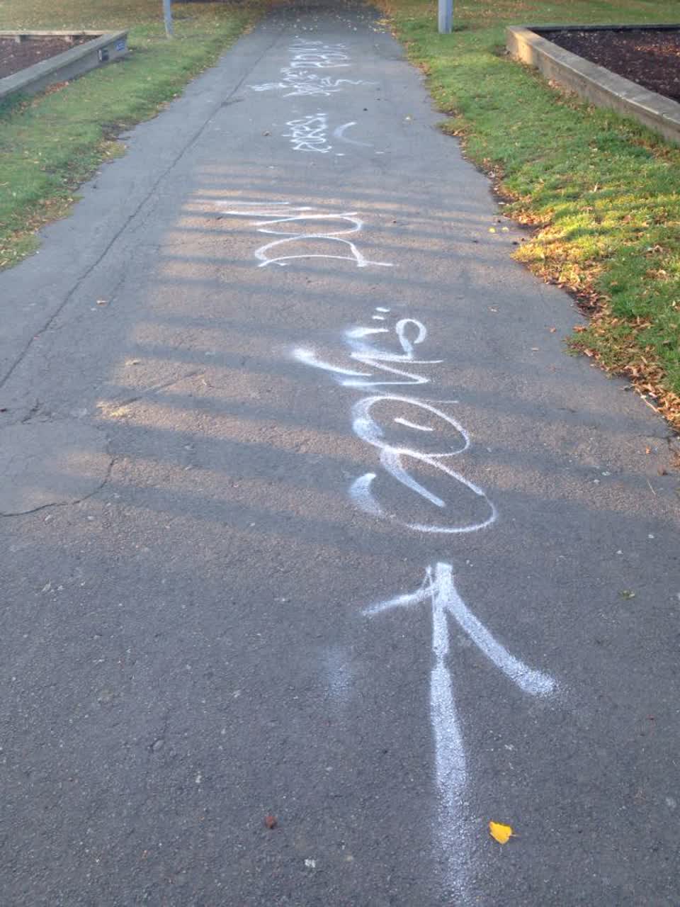 The photograph attached to this graffiti report