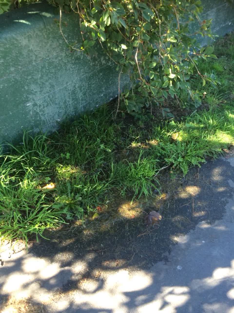 The photograph attached to this wastewater/stormwater report