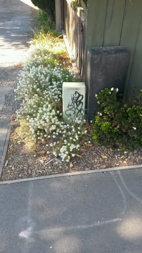 Graffiti, a report photo