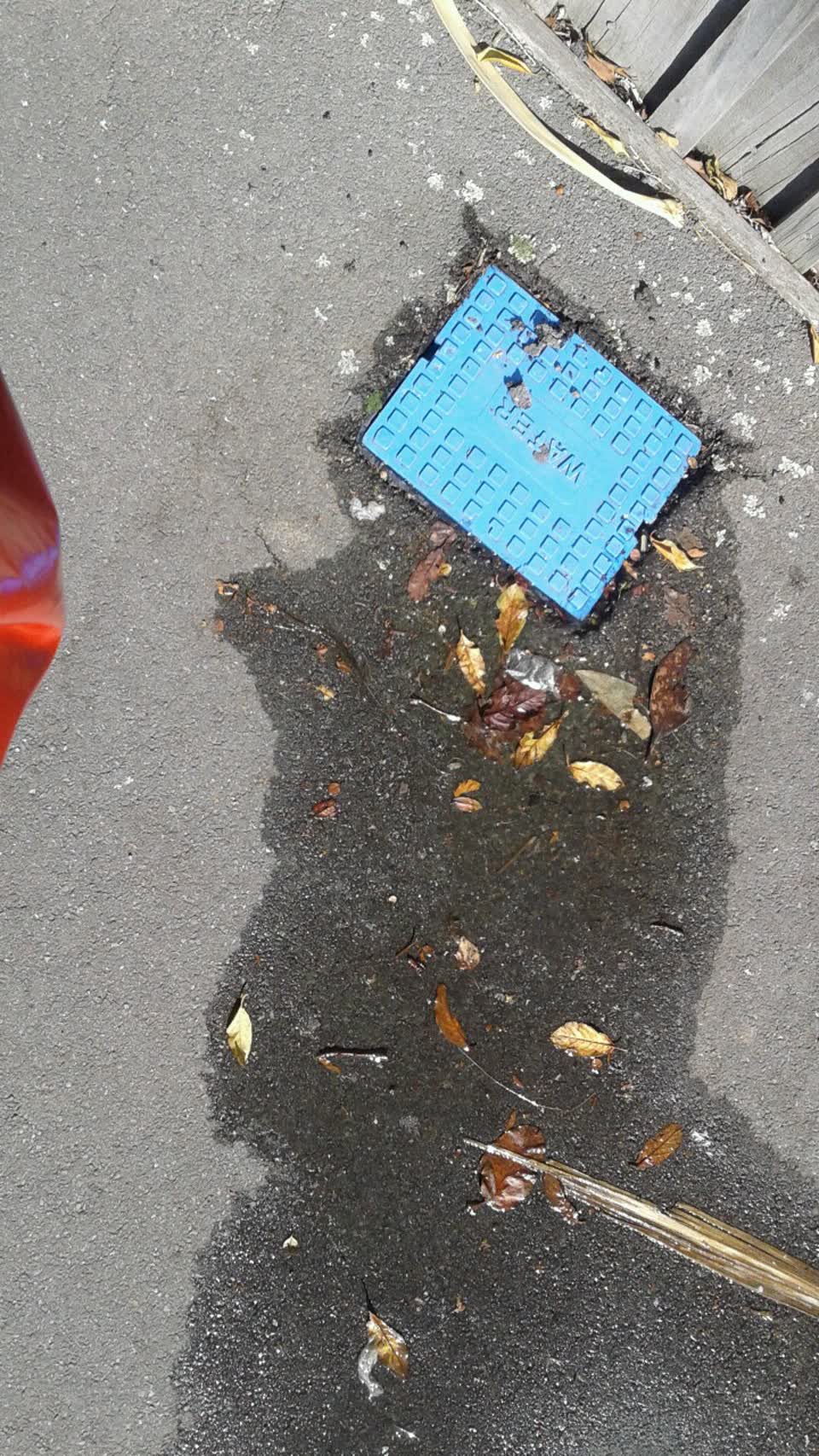 The photograph attached to this water supply report