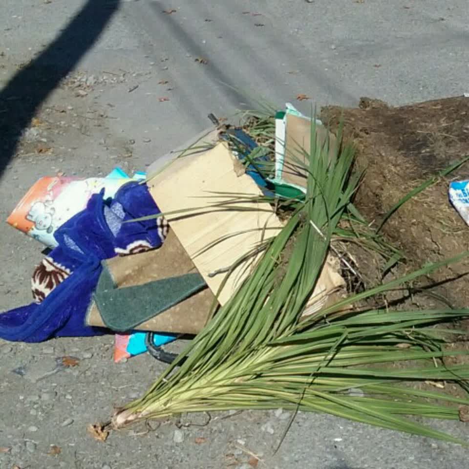 The photograph attached to this rubbish/recycling report