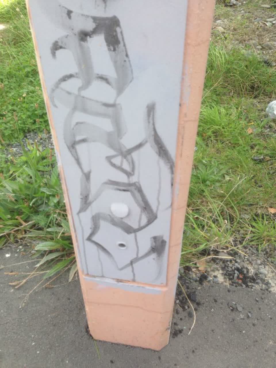 The photograph attached to this graffiti report