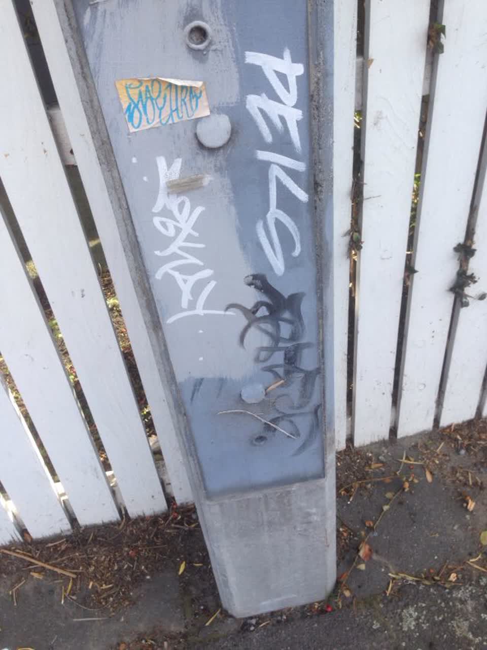 The photograph attached to this graffiti report