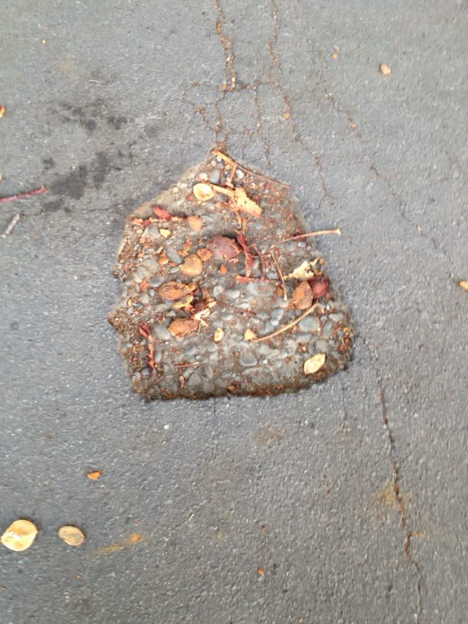 The photograph attached to this roading/streets report