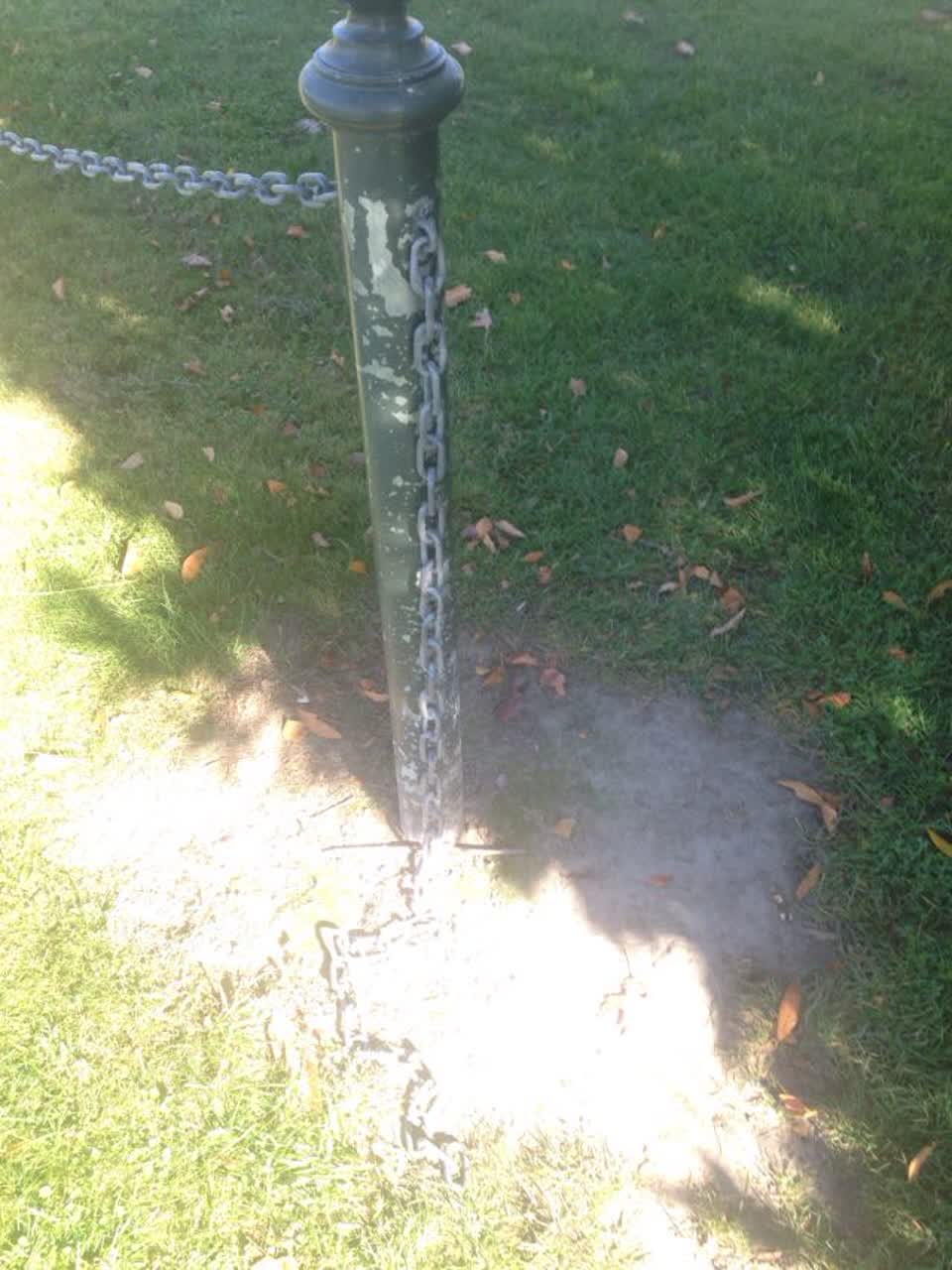 The photograph attached to this parks report