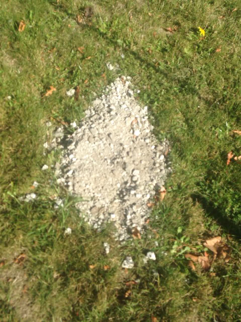 The photograph attached to this parks report