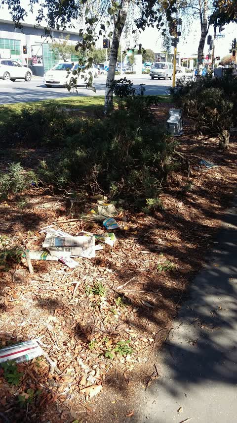 Rubbish/Recycling, a report photo