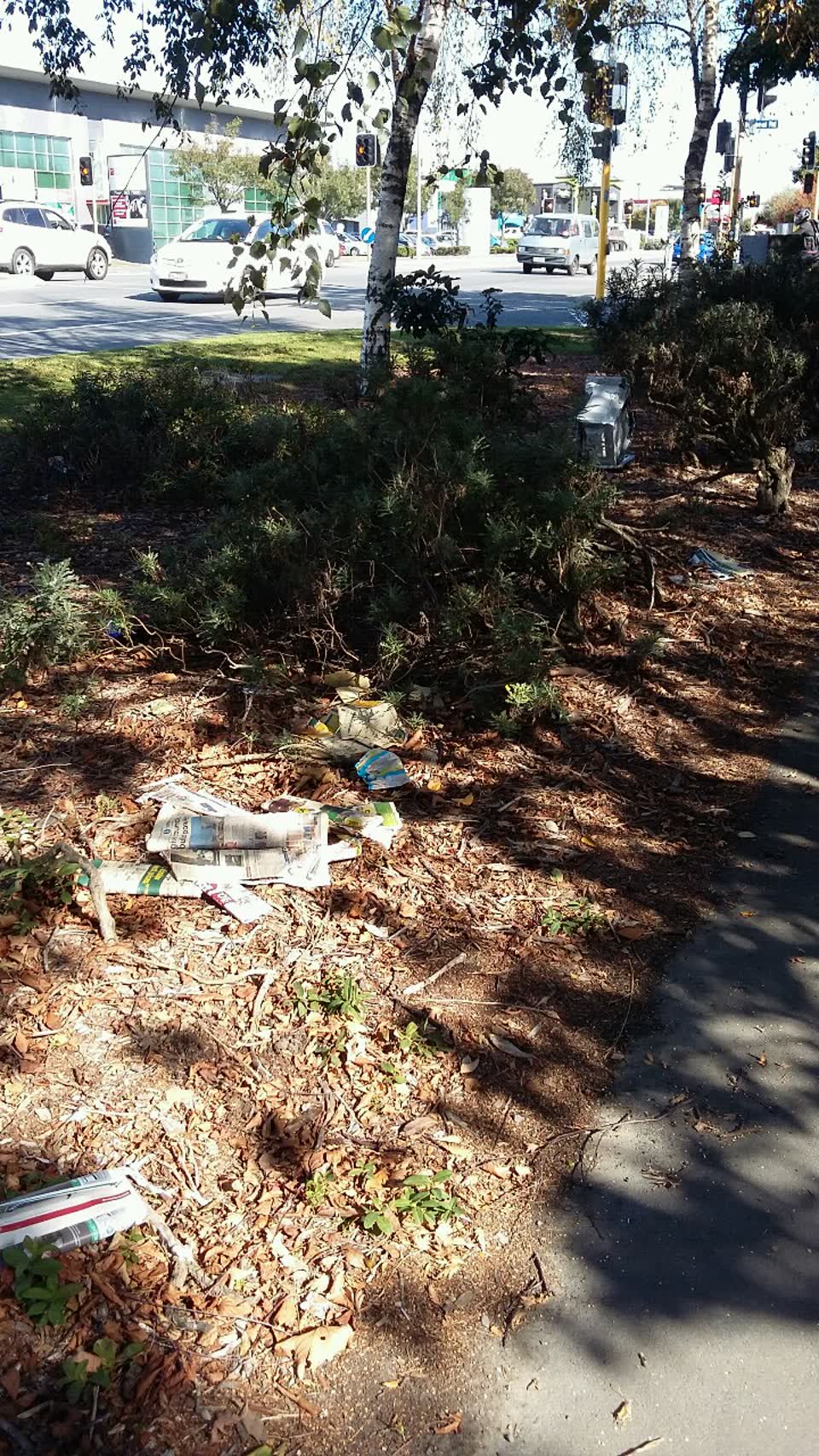 The photograph attached to this rubbish/recycling report