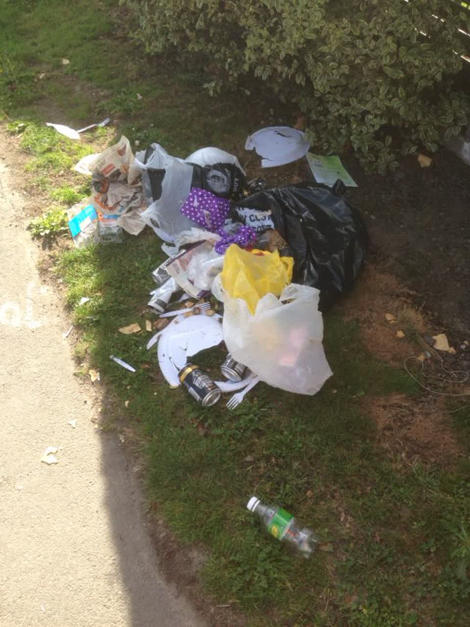 The photograph attached to this rubbish/recycling report