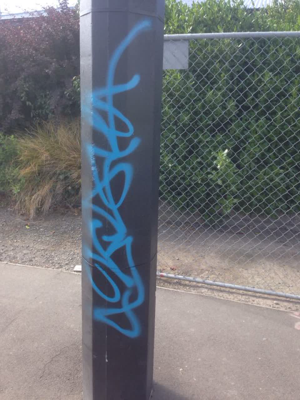 The photograph attached to this graffiti report