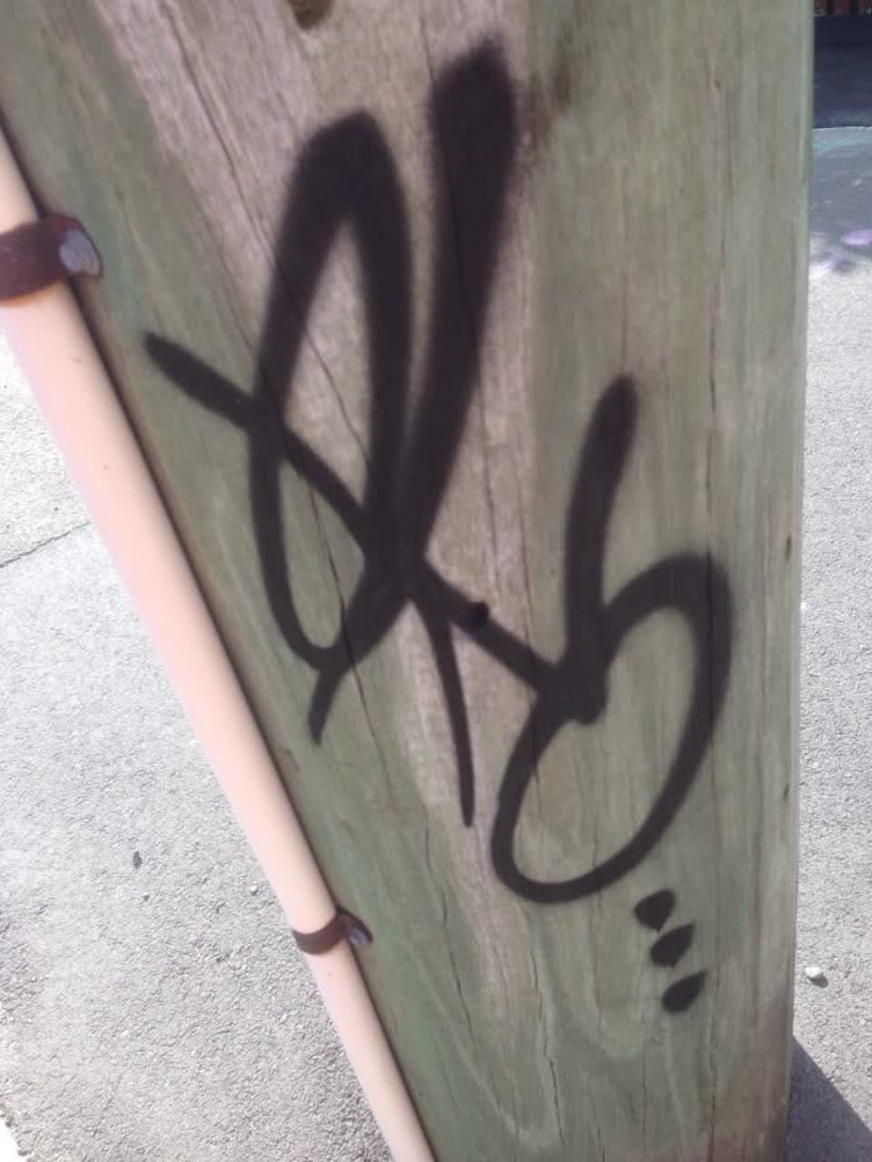 The photograph attached to this graffiti report