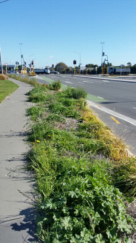 Parks, a report photo