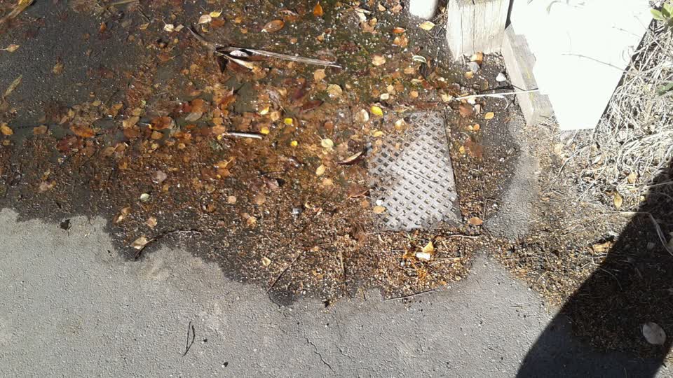 The photograph attached to this water supply report