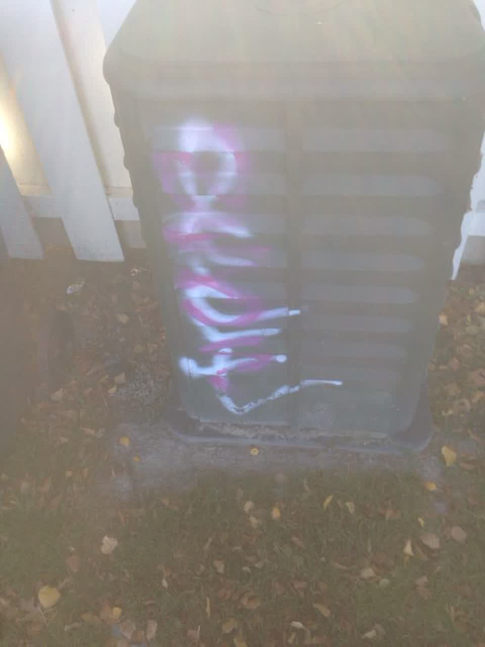 The photograph attached to this graffiti report