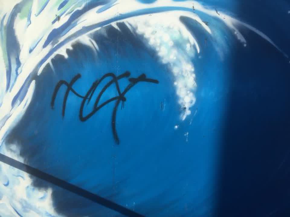 The photograph attached to this graffiti report