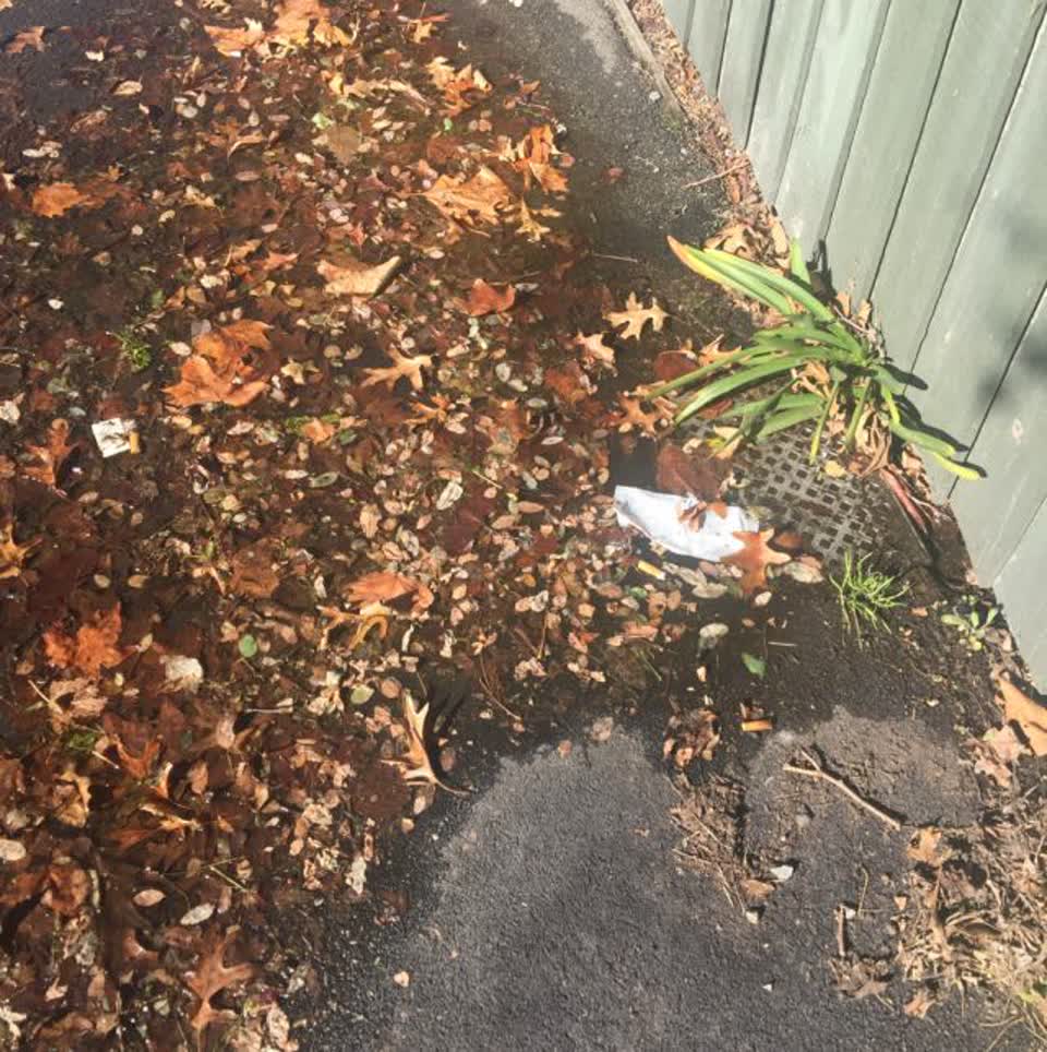 The photograph attached to this wastewater/stormwater report
