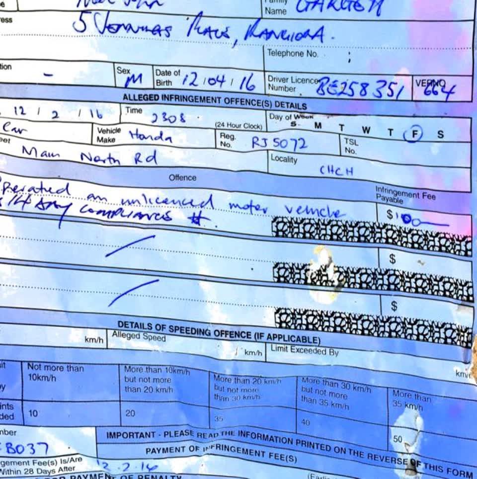The photograph attached to this parks report