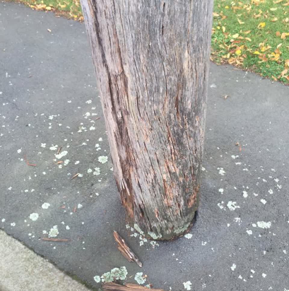 The photograph attached to this roading/streets report