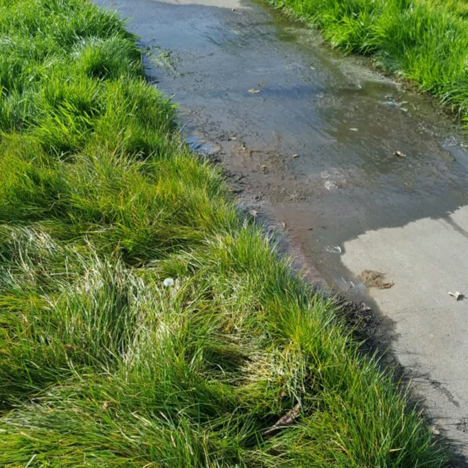 The photograph attached to this wastewater/stormwater report